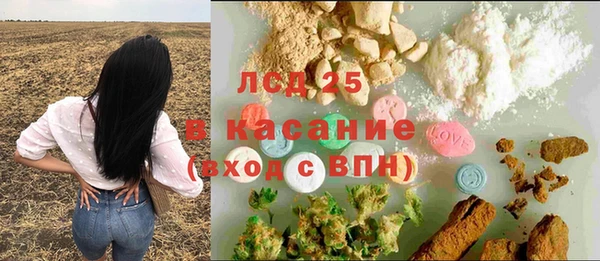 ГАЛЛЮЦИНОГЕННЫЕ ГРИБЫ Гусиноозёрск