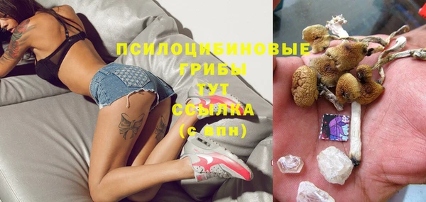 ГАЛЛЮЦИНОГЕННЫЕ ГРИБЫ Гусиноозёрск