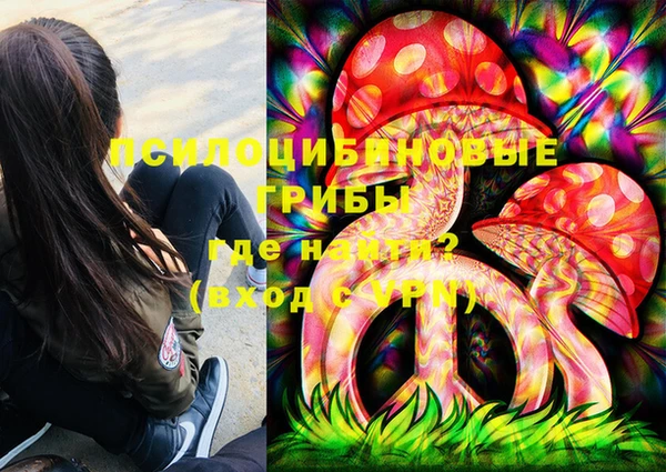 ГАЛЛЮЦИНОГЕННЫЕ ГРИБЫ Гусиноозёрск
