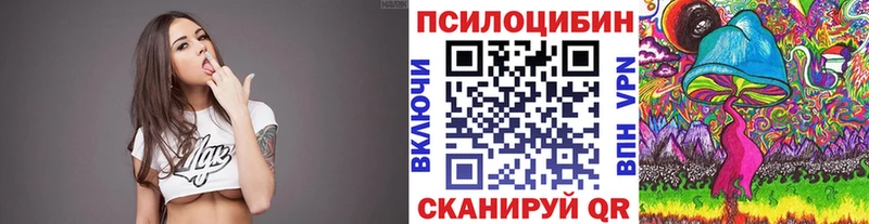 Галлюциногенные грибы Cubensis  Купить закладки  Печора 